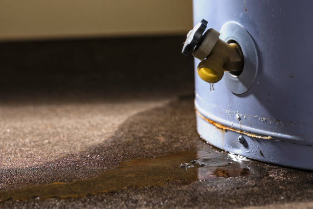 Best Basement water damage restoration  in Pikeville, TN