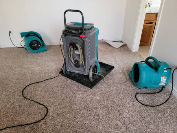 Best Sewage cleanup and water damage restoration  in Pikeville, TN