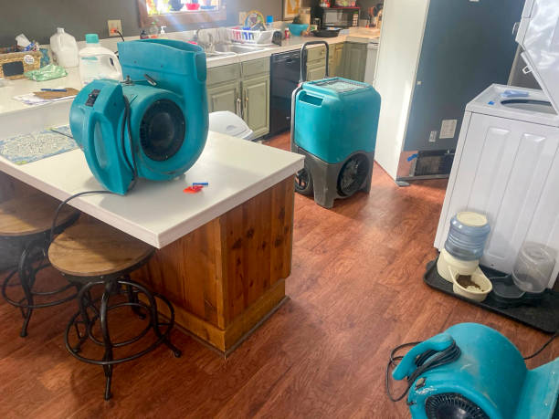 Best Water damage repair service  in Pikeville, TN