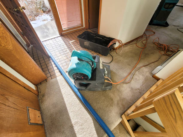 Best Emergency water damage restoration  in Pikeville, TN
