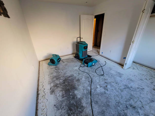 Best Water damage restoration near me  in Pikeville, TN