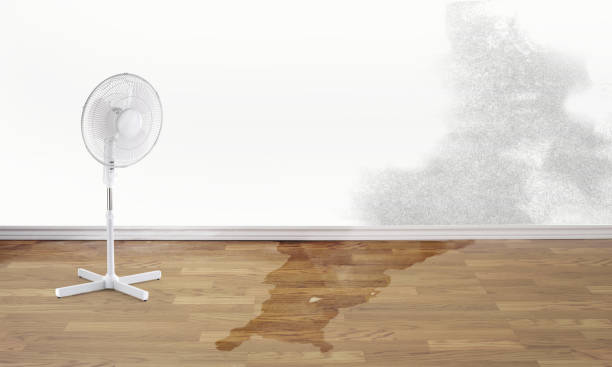 Best Water damage restoration insurance claims  in Pikeville, TN