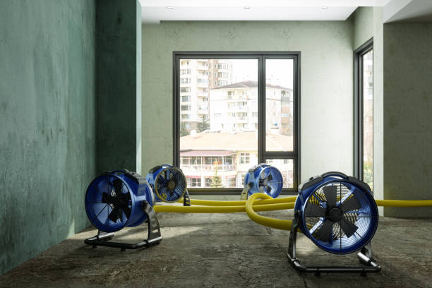 Best Carpet water damage restoration  in Pikeville, TN
